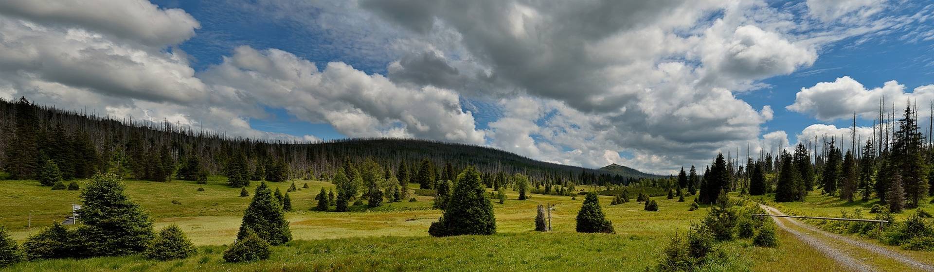 Šumava